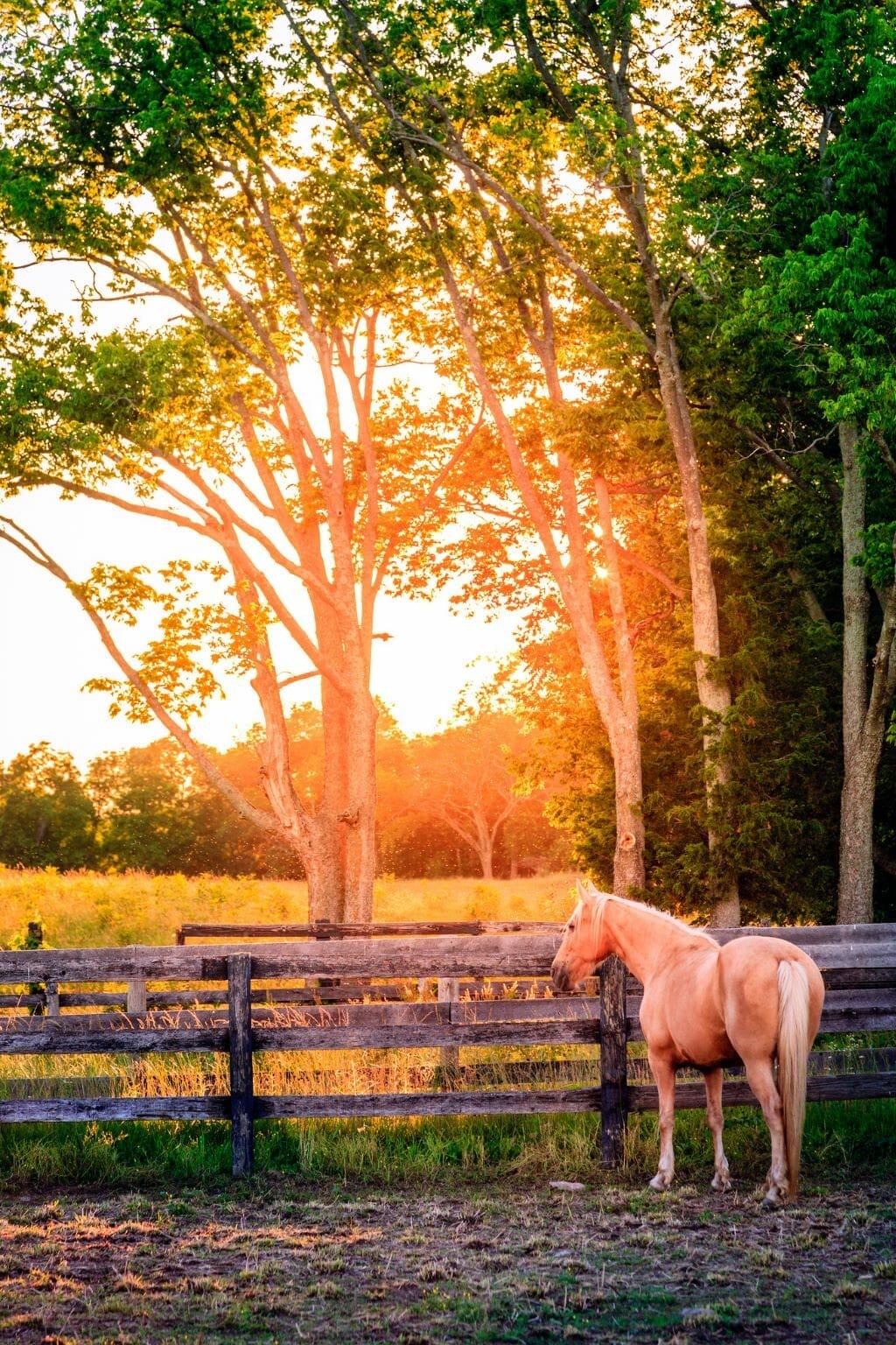 31 Interesting Things Kentucky is Known For (+ Famous For)