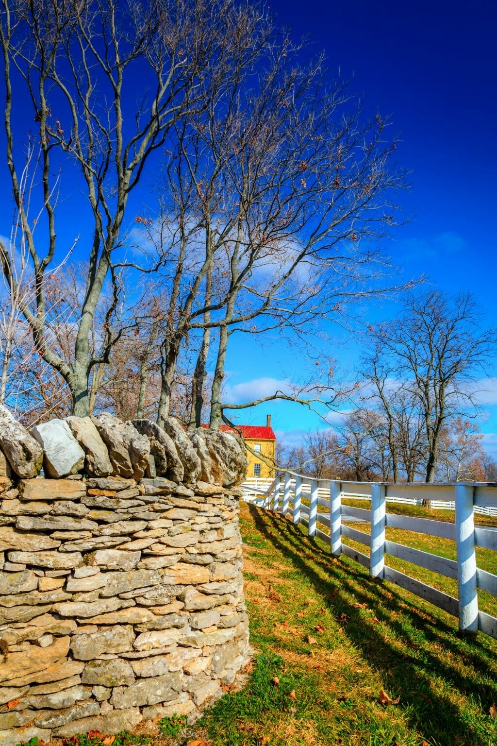 31 Interesting Things Kentucky is Known For (+ Famous For)