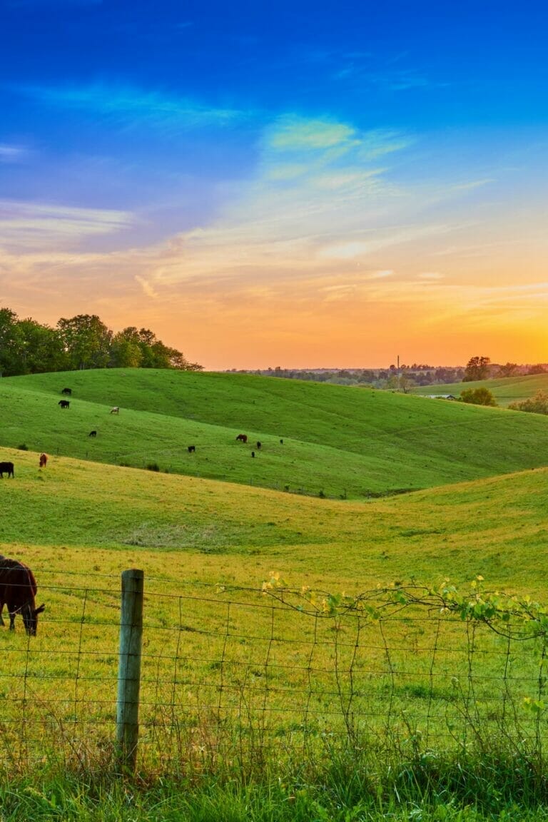 31 Interesting Things Kentucky is Known For (+ Famous For)