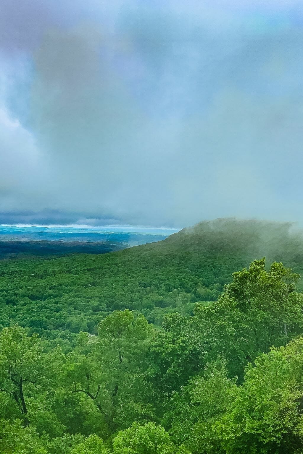 INTERESTING THINGS ABOUT MISSOURI visual data 7