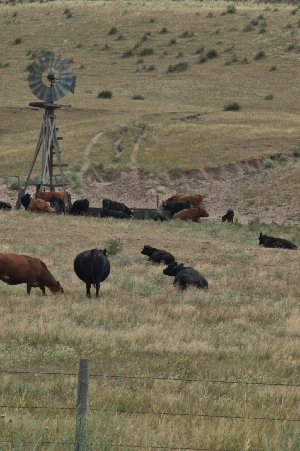 29 Interesting Things Nebraska is Known For (+ Famous For)