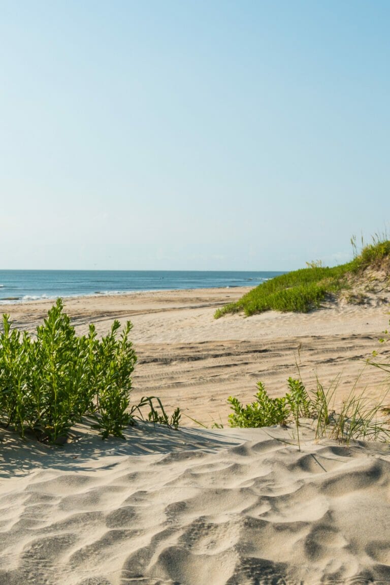 33 Cool Things North Carolina is Known For (+ Famous For)