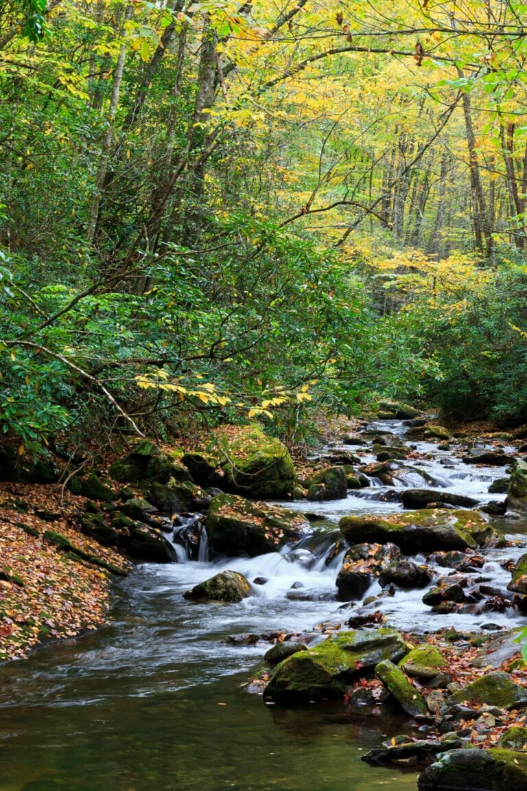 33 Cool Things North Carolina is Known For (+ Famous For)