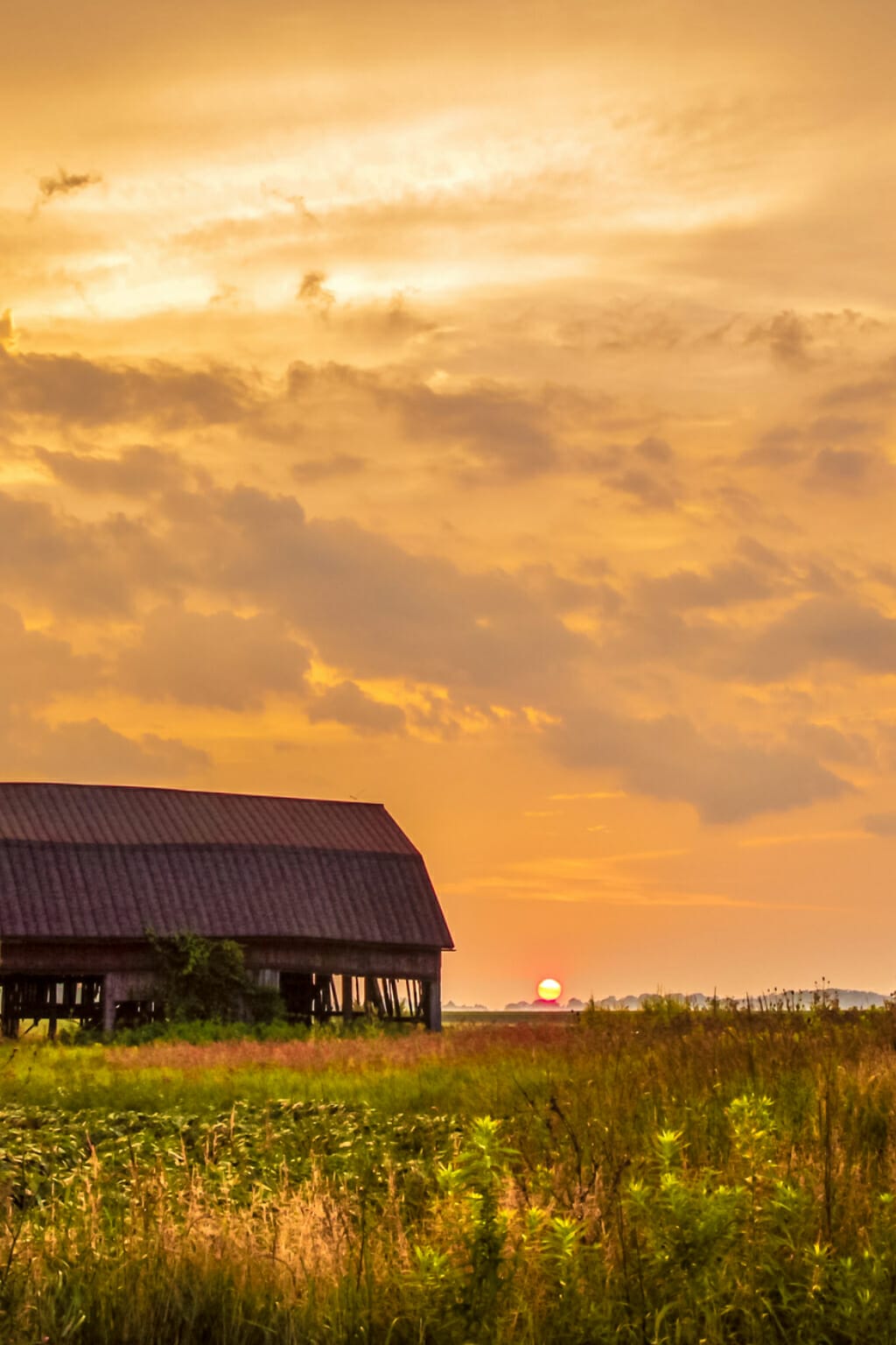 27 Amazing Things Oklahoma is Known For (+ Famous For)