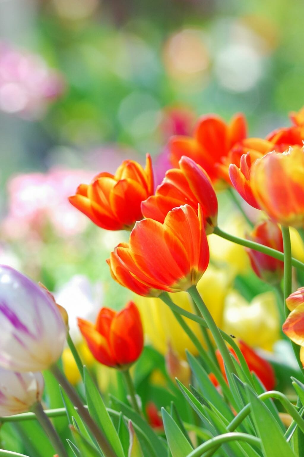 31 Cool Things Michigan is Known For (  Famous For)