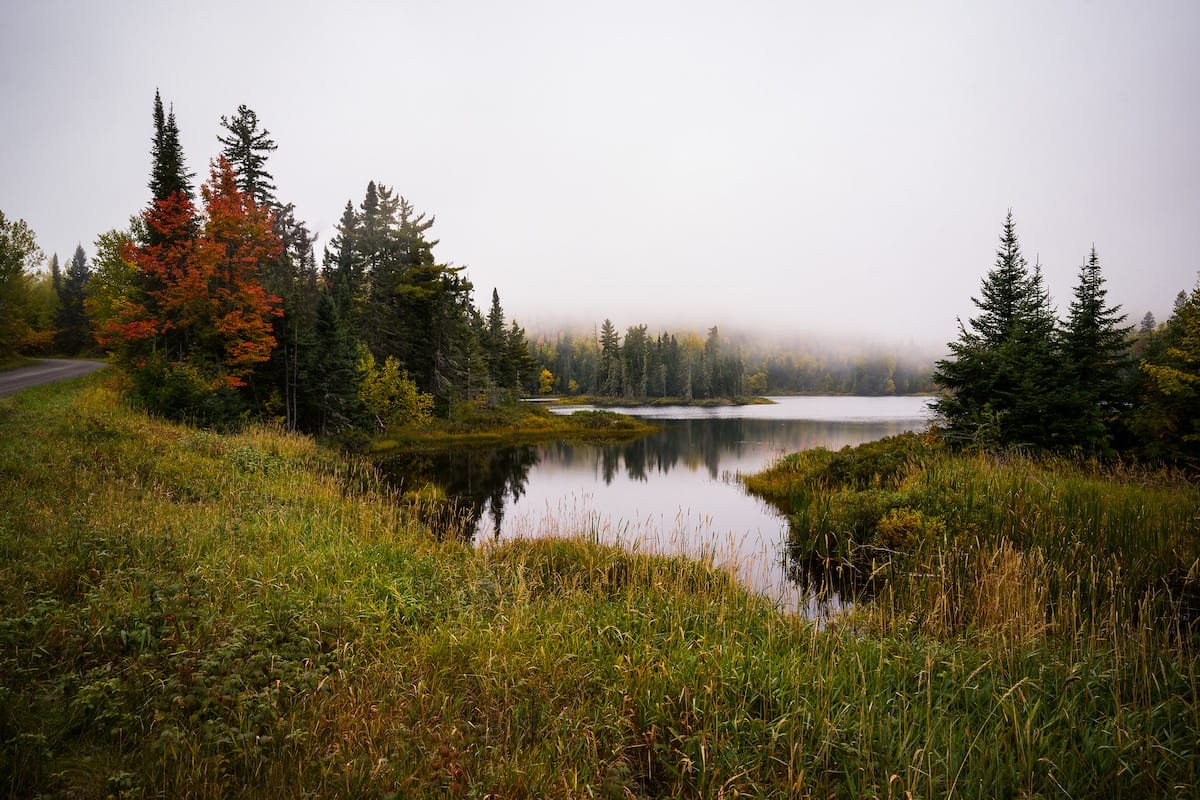 Shoe Lake Road in Grand Marais Minnesota on a foggy autumn day