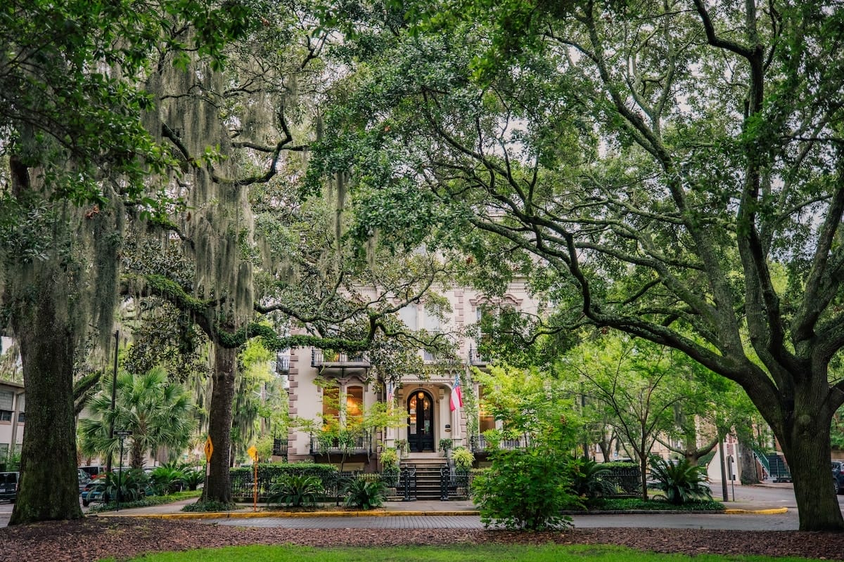 vines and greenery surround a historic building in a square in Savannah Georgia
