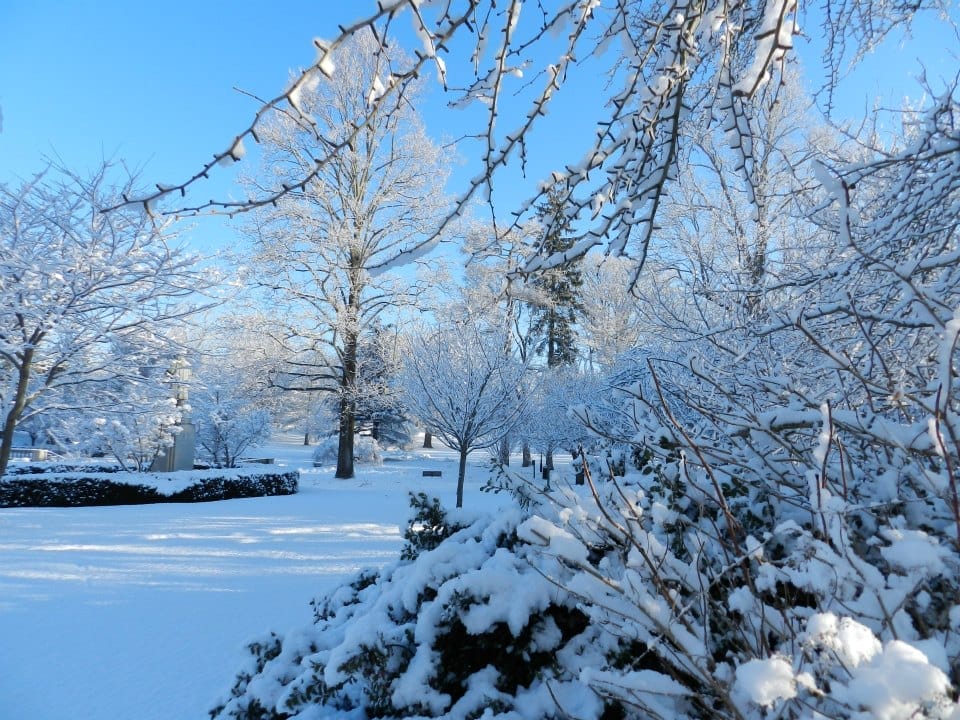 Wilcox Park in Westerly Rhode Island covered in snow on a sunny winter day