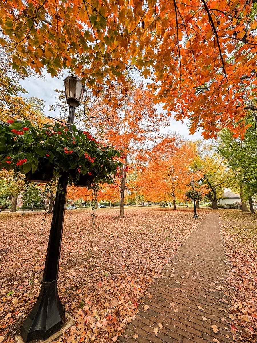 Colorful trees line a brick sidewalk in Lexington Kentucky during autumn