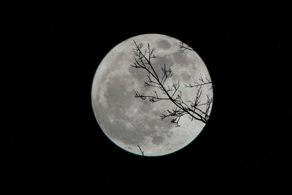 a full moon against a black night sky with the silhouette of a bare tree branch in front of it